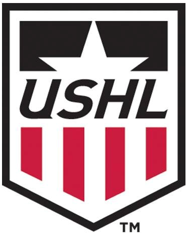 United States Hockey League 2016-Pres Primary Logo iron on transfers for clothing